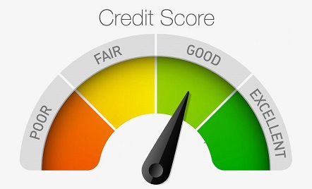 Company and Directors Credit Report (FREE SME BOOK)  